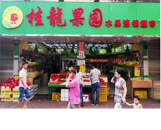 深圳桂龙果园连锁