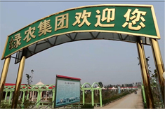 绿农集团